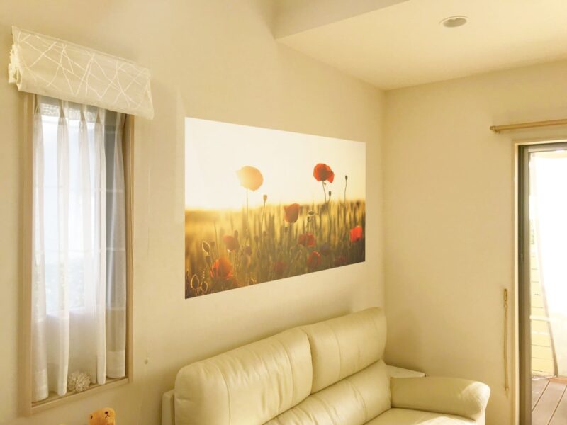 IMG_6516_オンデマンドエコカラット合成_03