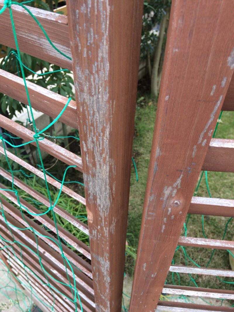 剥げ禿げラティス_IMG_3273