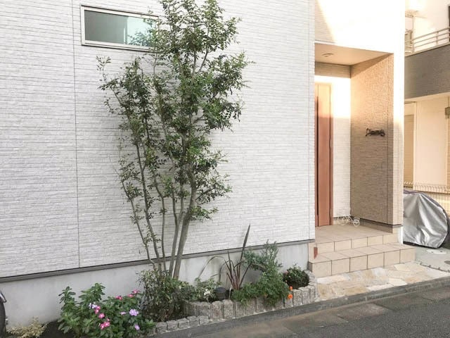 36_ゴールドクレスト撤去_IMG_6296