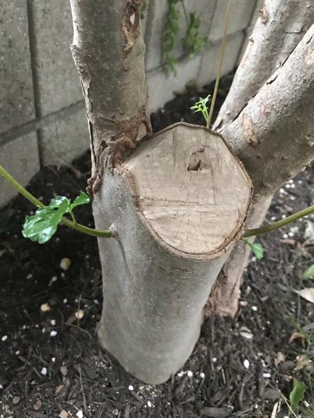 2019年9月_IMG_7973