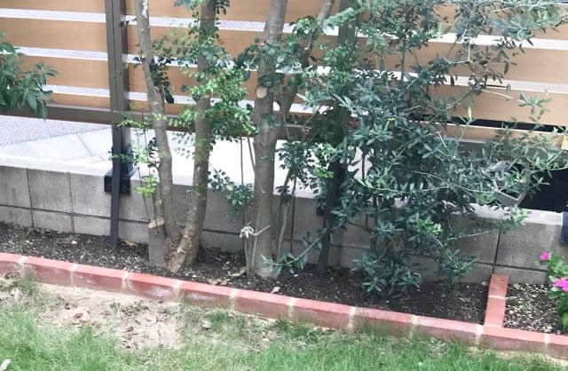 2019年9月_IMG_8033