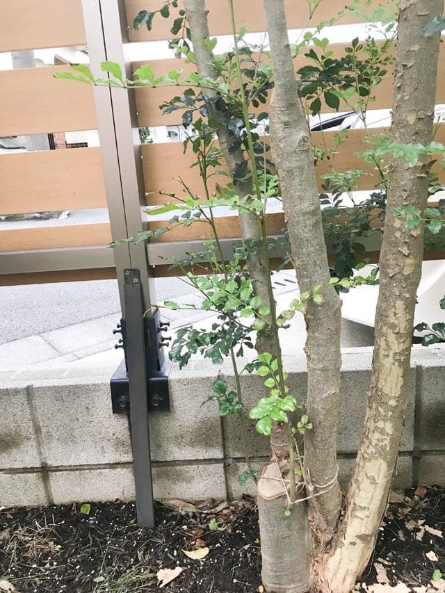 2019年10月_IMG_8085