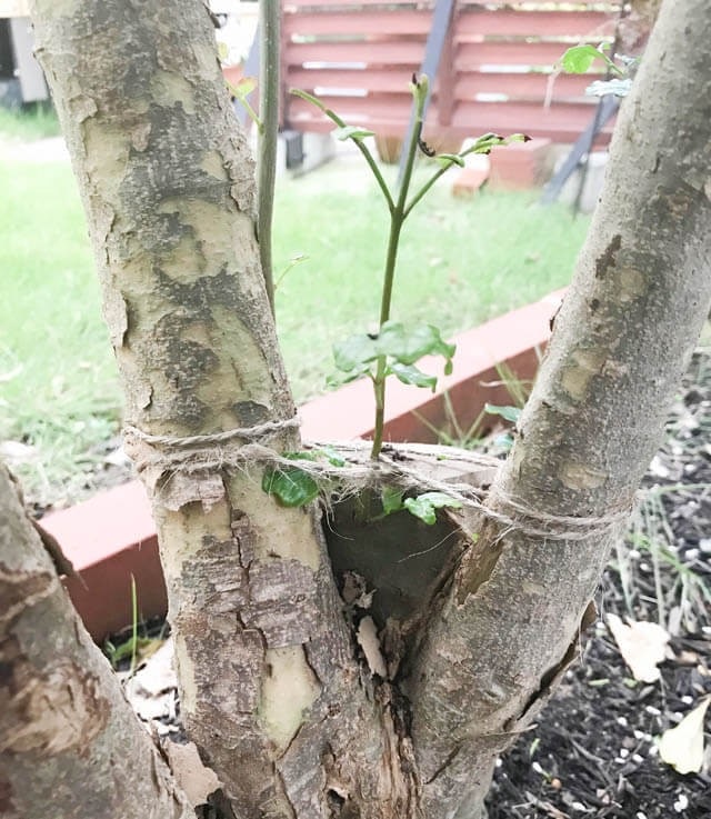 2019年10月_IMG_8086