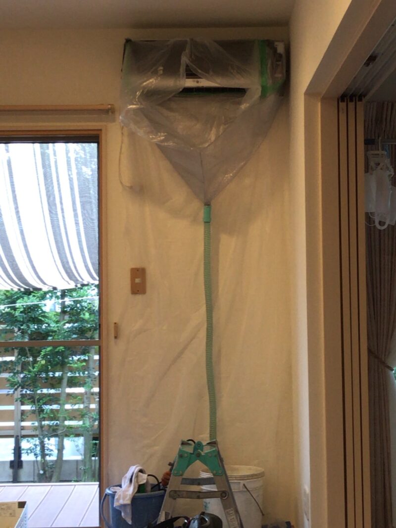 IMG_9564_養生完了