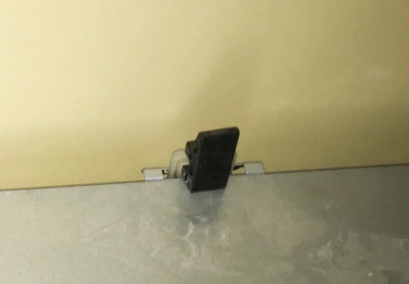 IMG_0046_黒い突起