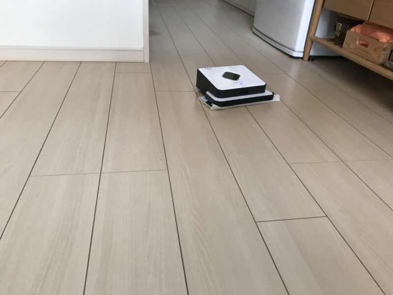 0320_IMG_9663_キッチンから帰還