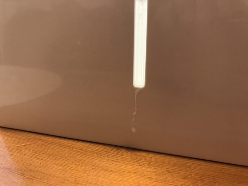 030_IMG_9877_おもらし