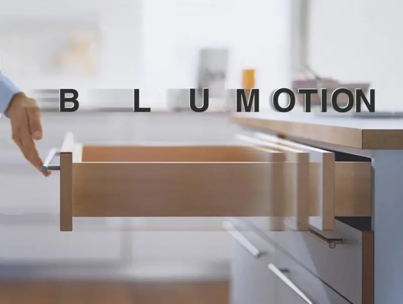 blumotion2.jpg